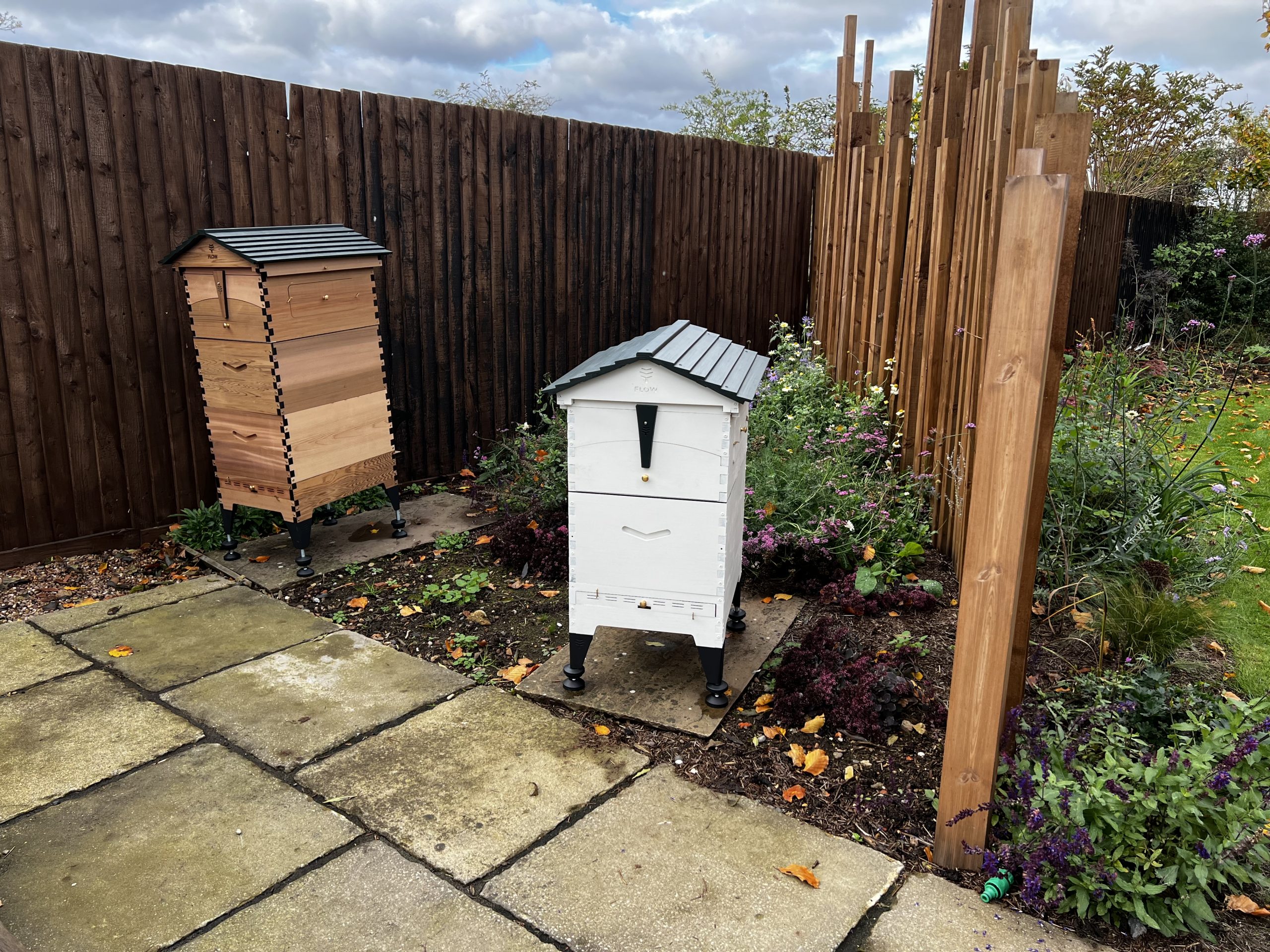 Beekeeping Together — Whatever Hive You Choose